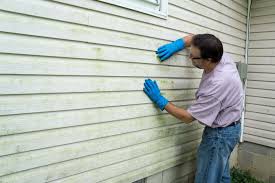 Best Wood Siding Installation  in Zebulon, NC